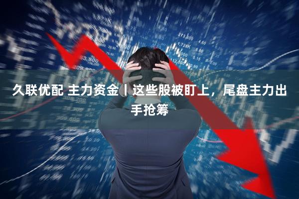 久联优配 主力资金丨这些股被盯上，尾盘主力出手抢筹