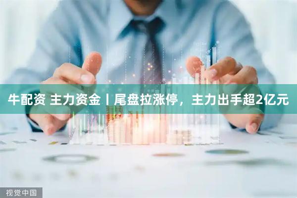 牛配资 主力资金丨尾盘拉涨停，主力出手超2亿元
