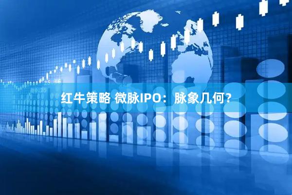红牛策略 微脉IPO：脉象几何？