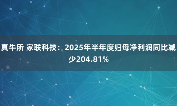 真牛所 家联科技：2025年半年度归母净利润同比减少204.81%