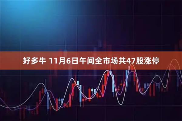 好多牛 11月6日午间全市场共47股涨停