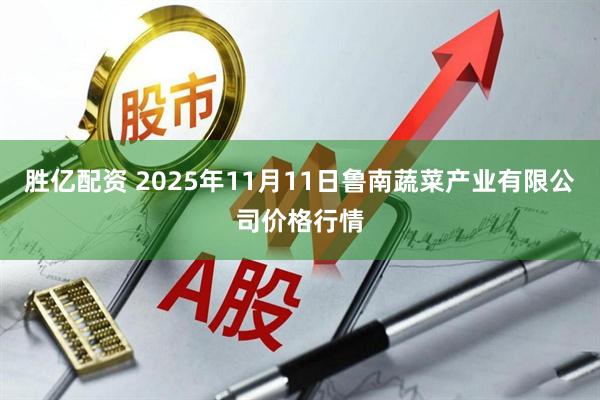 胜亿配资 2025年11月11日鲁南蔬菜产业有限公司价格行情