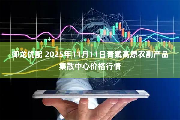 御龙优配 2025年11月11日青藏高原农副产品集散中心价格行情